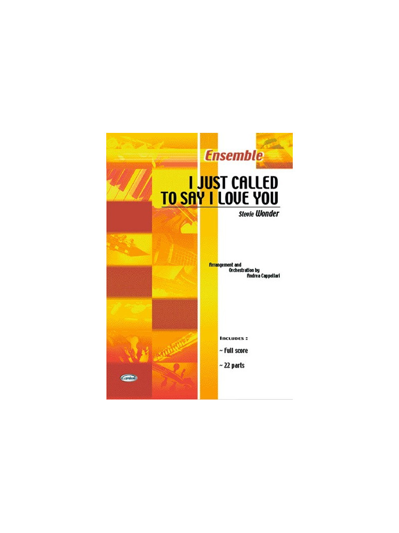 I Just Called to Say I Love You