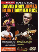 Lick Library: Learn To Play David Gray, James Blunt, Damien Rice (DVD)