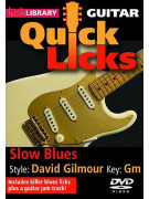 Lick Library: Slow Blues (DVD)