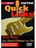 Lick Library: Slow Blues (DVD)