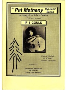 Pat Metheny - If I Could (Big Band Series)