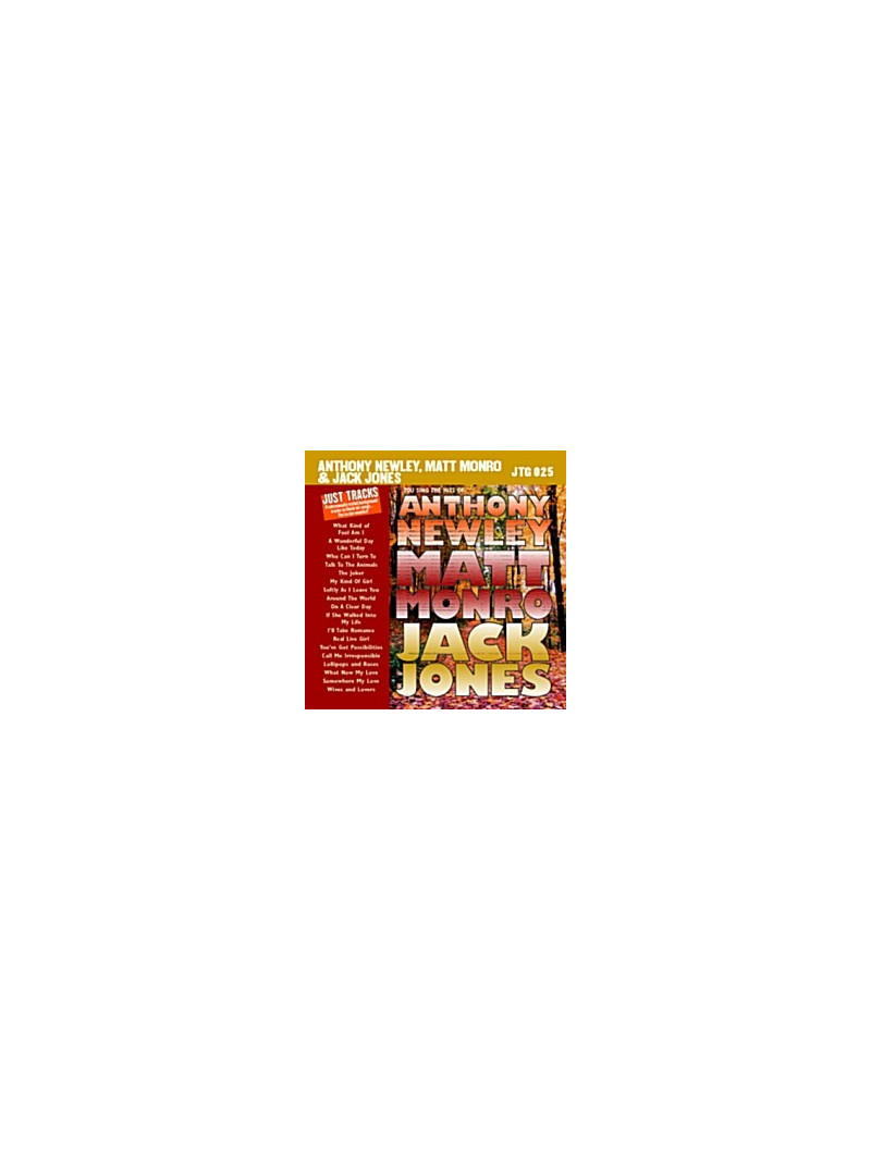You Sing the Hits (CD sing-along)