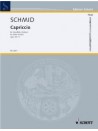 Schmid - Capriccio, op. 34/5 (Flute)