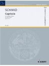 Schmid - Capriccio, op. 34/5