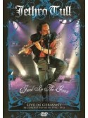 Jethro Tull - Jack In The Green (DVD)