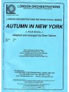 Autumn in New York