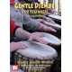 Gentle Djembe for Beginners Volume 2 (DVD)
