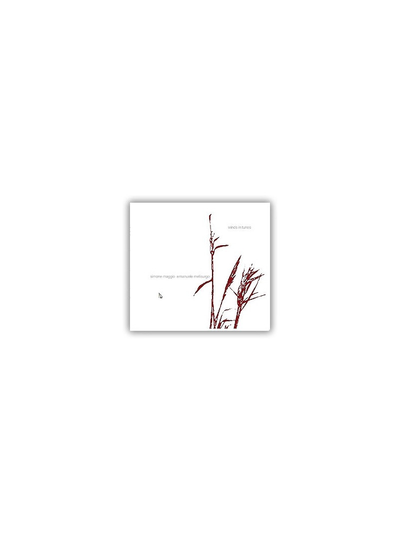 Simone Maggio - Winds in tunes (CD)