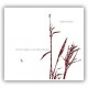 Simone Maggio - Winds in tunes (CD)
