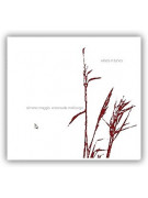 Simone Maggio - Winds in tunes (CD)