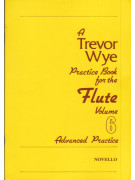 Practice Book For The Flute Vol. 6: Advanced Practice 