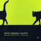 Wild cats, difficult to Bo?e altre storie (CD)