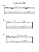 Licks & Tricks Volume 1 (book/CD)