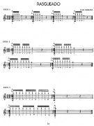 Flamenco Guitar Basic Techniques (book/CD)
