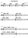 Flamenco Guitar Basic Techniques (book/CD)