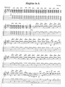 Mel Agen - Easy Flamenco Solos (book/CD)