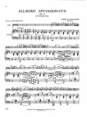 Allegro Appassionato - Opus 43 (violoncello & piano) 