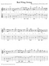 Gypsy Swing & Hot Club Rhythm II - Guitar (book/CD)