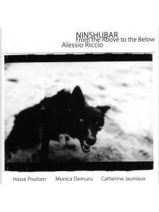 Ninshubar - From the Above to the Below (CD)