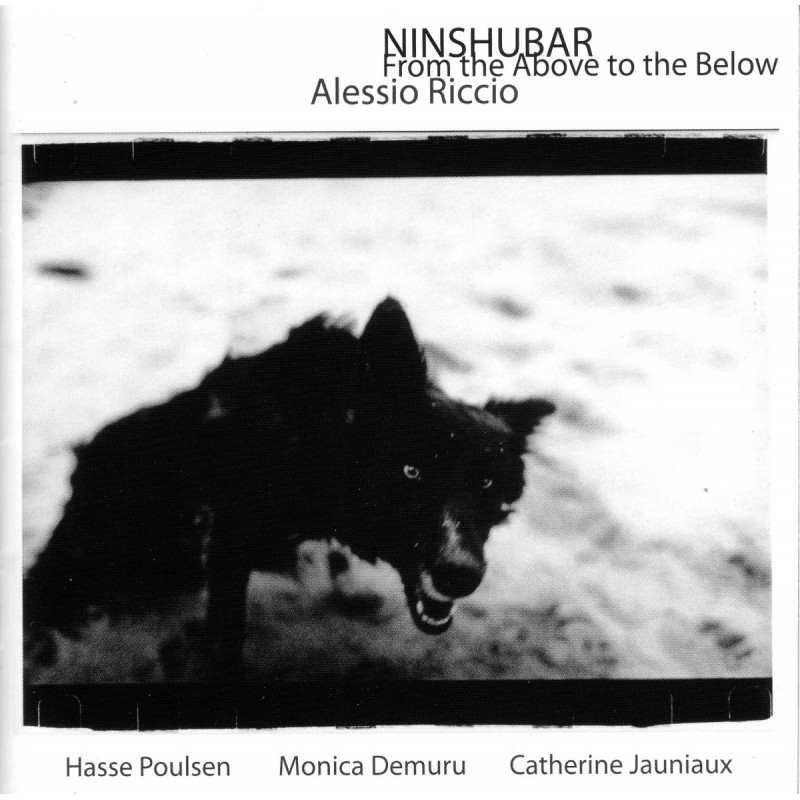 Ninshubar - From the Above to the Below (CD)