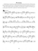 Flamenco Classical Guitar Tradition Volume 1