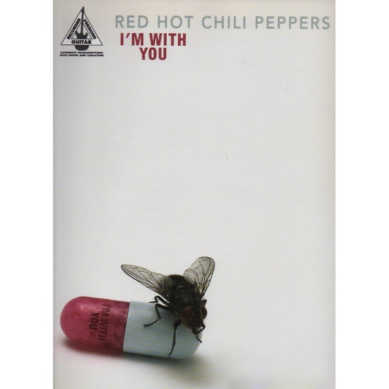 Red Hot Chili Peppers - I'm With You (Guitar)