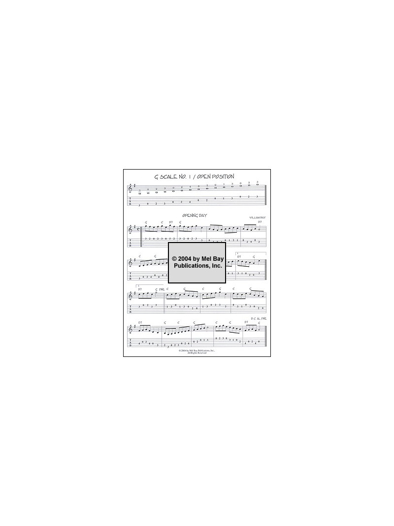 Guitar Journals - Flatpicking