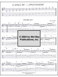 Guitar Journals - Flatpicking