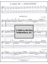Guitar Journals - Flatpicking