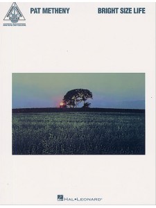 Pat Metheny - Bright Size Life