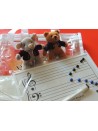 Musica per Piccoli Mozart (Starter Kit )