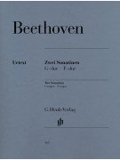 Ludwig van Beethoven: Allegretto Theme (from Symphony No. 7)