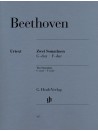 Ludwig van Beethoven: Allegretto Theme (from Symphony No. 7)