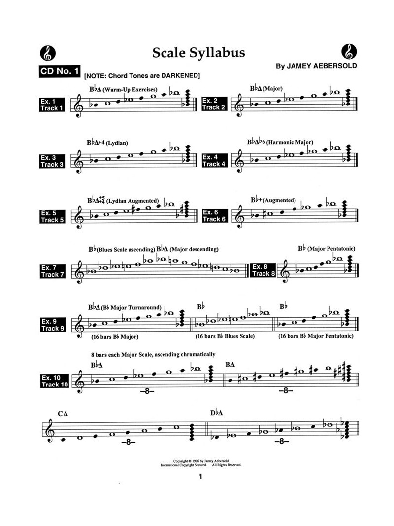 The 'Scale Syllabus' (book/2 CD play-along)