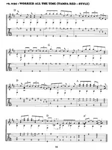 Bottleneck/Slide Guitar (book/3 CD)