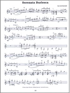 Jazz Guitar Stylings