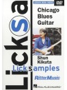 Chicago Blues Guitar (DVD)