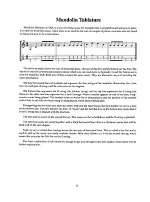 Irish Mandolin Playing (book/CD)