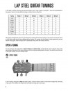 The Hal Leonard Lap Steel Guitar Method (book/CD)