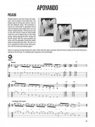 Hal Leonard Guitar Method: Flamenco Guitar