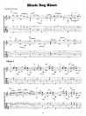 The Guitar of Blind Blake (book/3 CD)