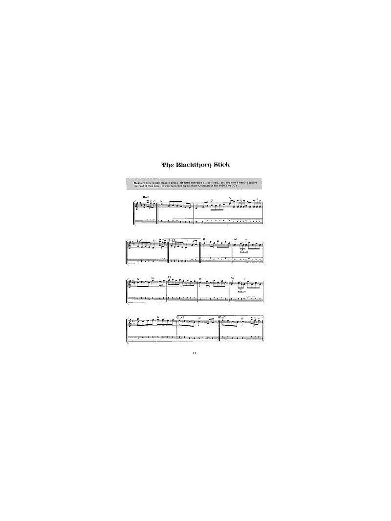 Fiddle Tunes & Irish Music for Mandolin (book/CD)