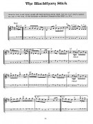 Fiddle Tunes & Irish Music for Mandolin (book/Audio Online)