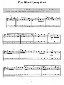 Fiddle Tunes & Irish Music for Mandolin (book/CD)