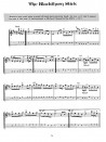 Fiddle Tunes & Irish Music for Mandolin (book/CD)