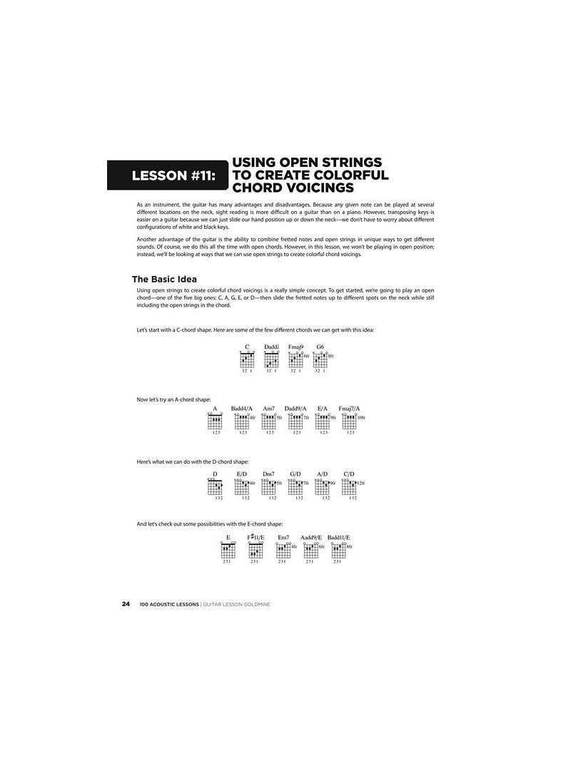 Goldmine : 100 Acoustic Lessons (book/2 CD)