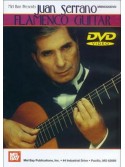 Flamenco Guitar (DVD)