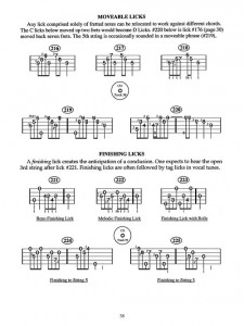 400 Smokin' Bluegrass Banjo Licks (book/CD)