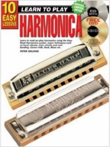 Teach Yourself Harmonica (book/CD)