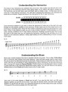 Blues Harmonica Method, Level 1 (book/CD)